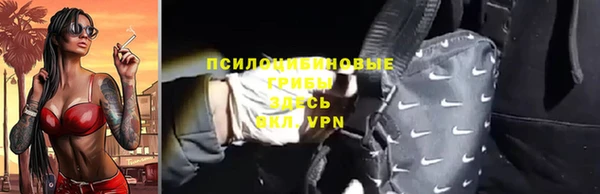 шишки Алексин