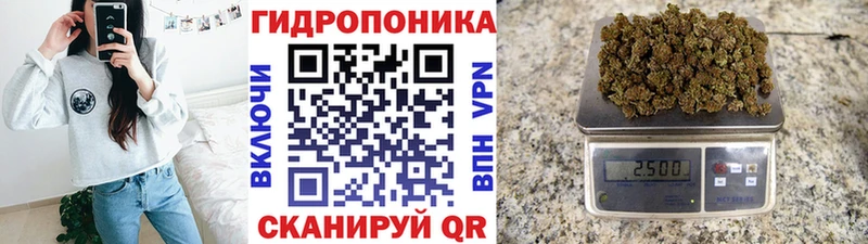 Шишки марихуана LSD WEED  продажа наркотиков  Кондопога 